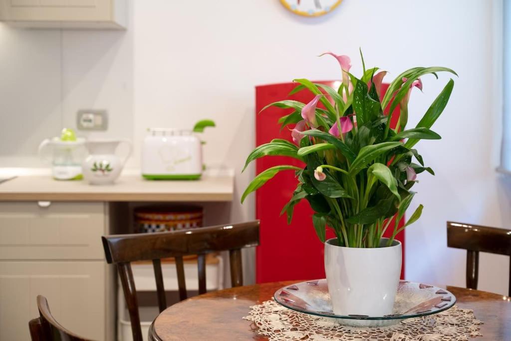 Casa Bouganville - St. Peter Romantic Apartment ภายนอก รูปภาพ